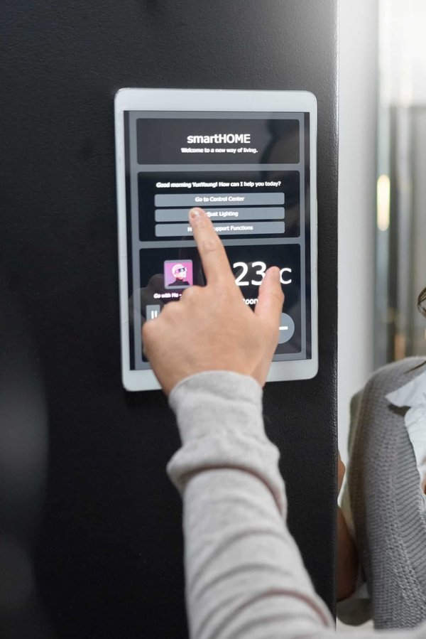 Comment aider un chat à s'adapter à un nouvel environnement ?